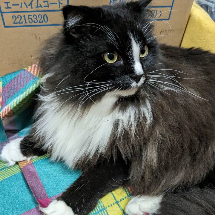 1eeb1fbc 6f31 444b b0ea 3c659fad3ef9 1691283725278