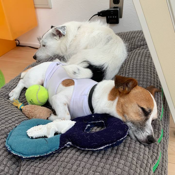 1eeb237c 8690 4f48 93a4 8881211a8152 1564108718668