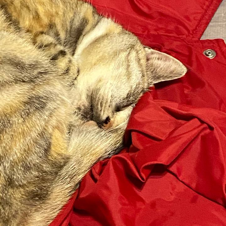 1eeb3156 8e41 450c 8526 3994411999e6 1620747585930