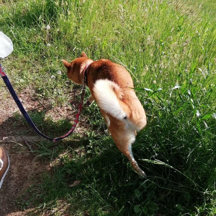 1eeb4185 71bf 4453 89ad 2f1a07789a56 1588405032854