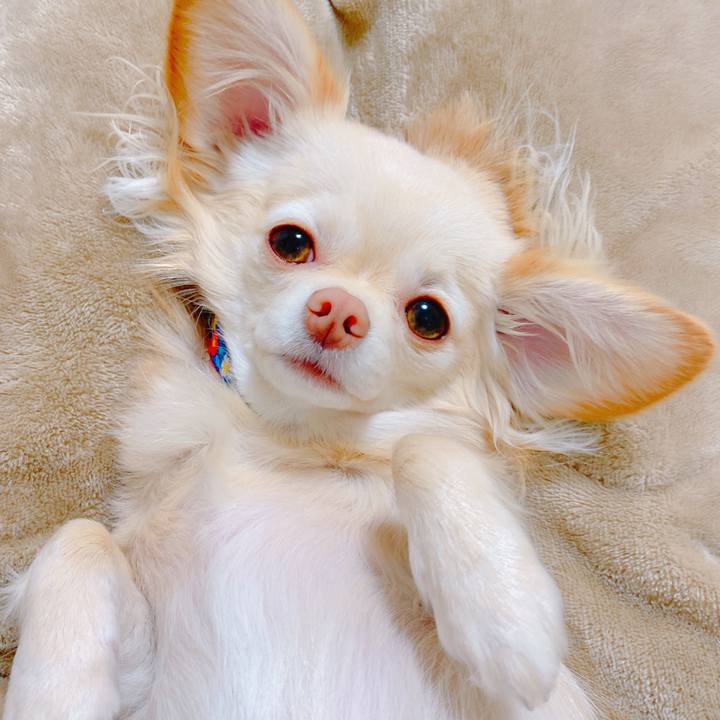 1eeb6614 c8f5 4d82 924c 44178468fb31 1642114487805