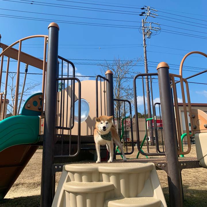 1eeb721d ab30 4c6f 9594 7095176a1a4e 1675851728484