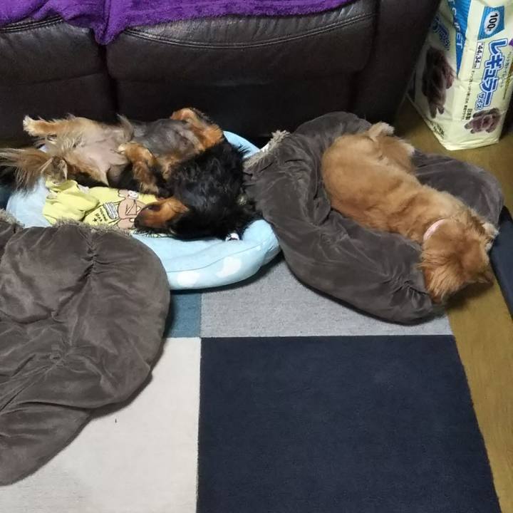 1eeb7dcf ce99 49bc 988d 808b2898fa61 1631664806039