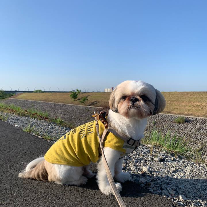 1eeb80fc 6fc6 4867 a26f 2b0d9067b2aa 1619861796684