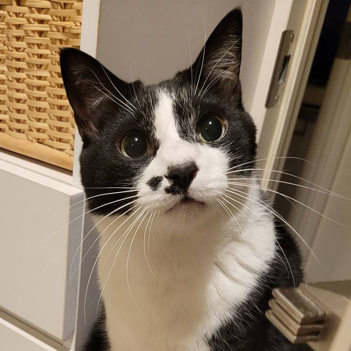 1eeb8c6e c2f4 40d0 8f82 4c38ff6d2128 1651519336910