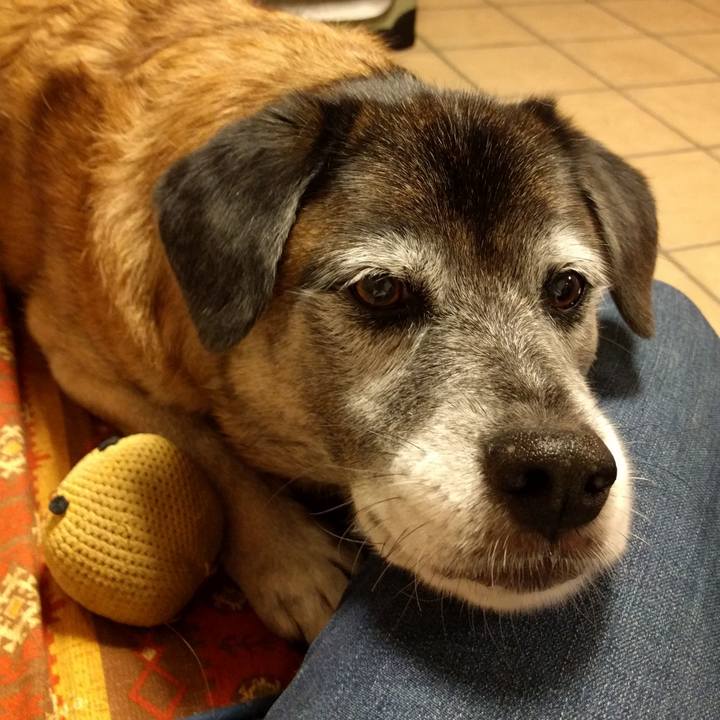 1eebc380 299b 4280 9e57 2bbb2a48cf30 1540035240745