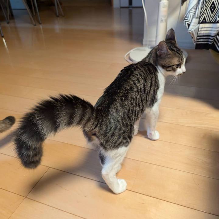 1eec080c b45f 429f b8a0 eab9fbd183eb 1727957362489