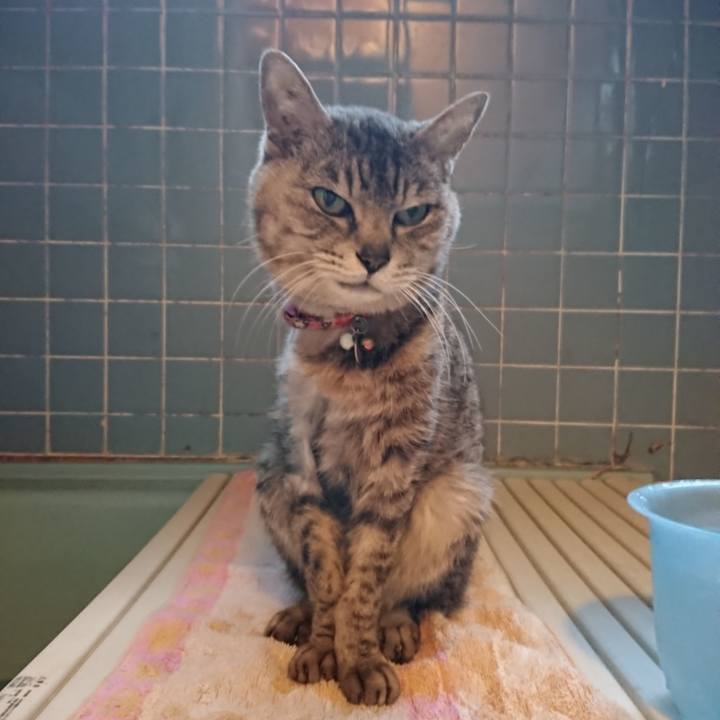 1eec0d8a c5c6 4652 ba39 5ef11497bcc4 1592126776312