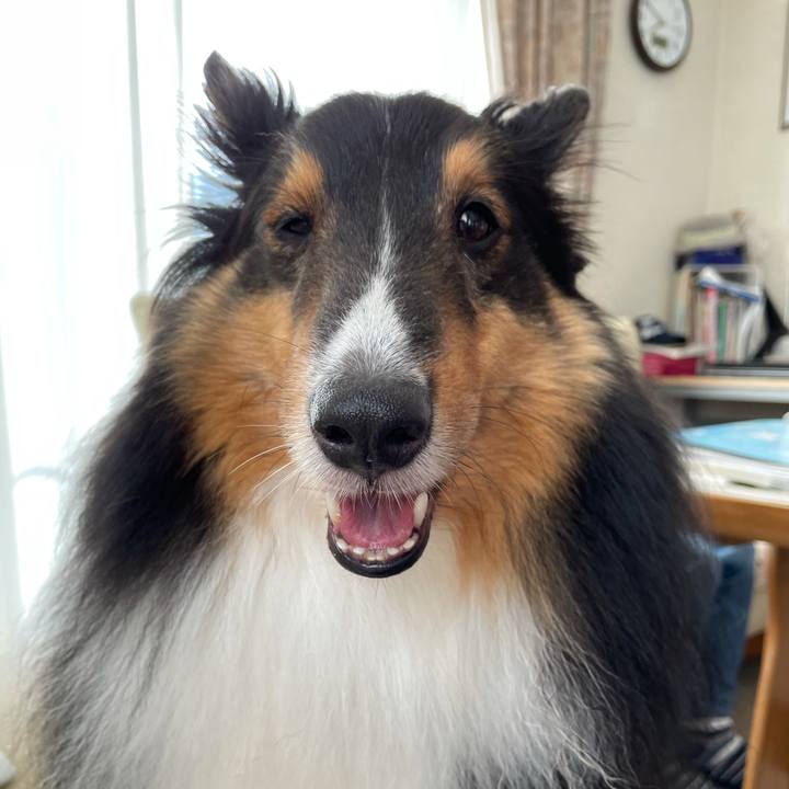 1eec449b 2f04 4912 8888 2cca30a1a1fb 1622340201213