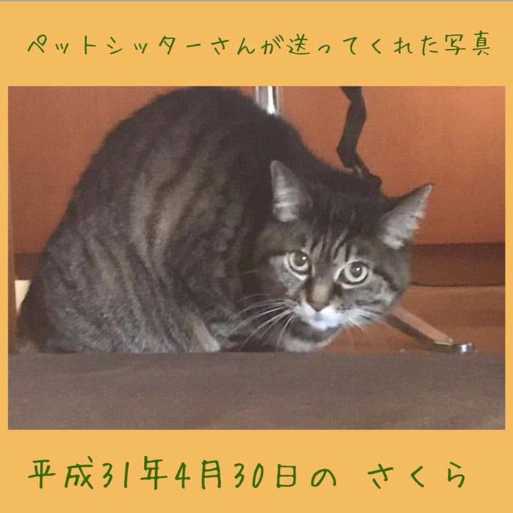 1eec49ff e3f7 4830 89ae cf672d9da334 1777639510320