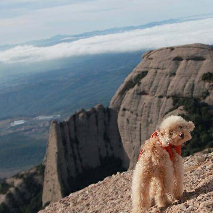 1eec69b1 d8a3 4895 afae 0fb072ce96b7 1579275998485