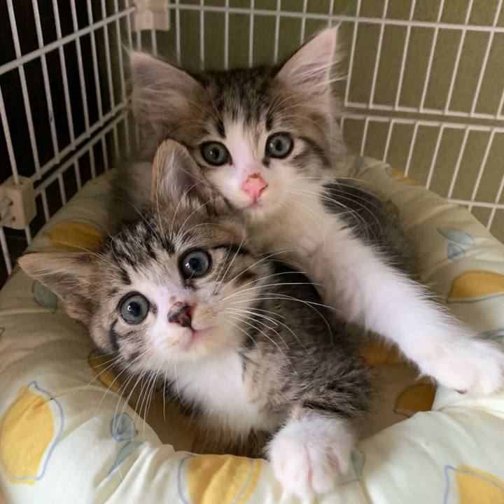 1eecfad1 12d3 464d 9ca8 63e488a40236 1724379914786