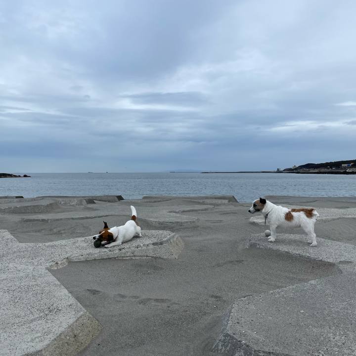 1eed0ed4 5cb7 46b8 a09e dfcbdf9c48f6 1649029041184