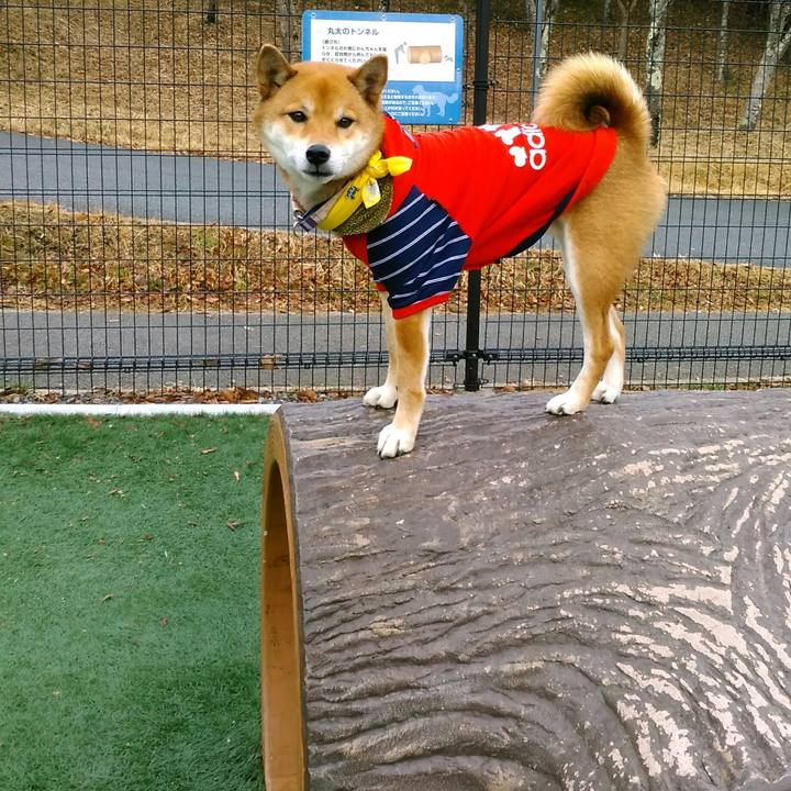 1eed26cc cb6e 40ae b203 21fd447e116c 1514075832069