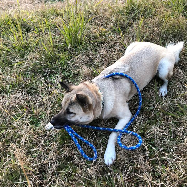 1eed4eb4 a99f 460f bb64 b4863cb6d718 1546432581756