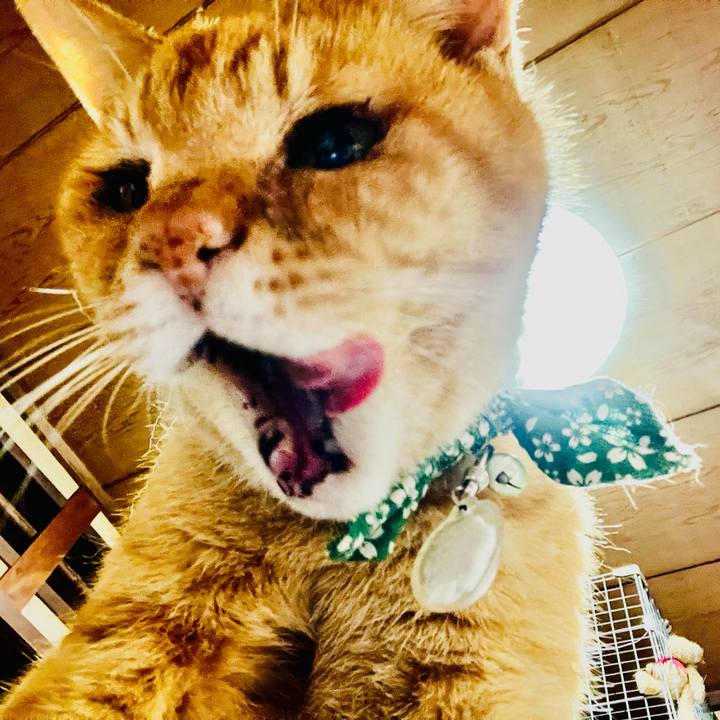 1eed9b28 909a 4835 a158 de7b45e88f62 1789265497991