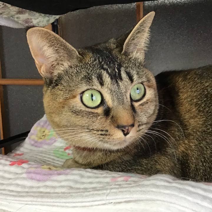 1eedcbcc 697d 474a aefc 7c0a175b7ee8 1644457215718