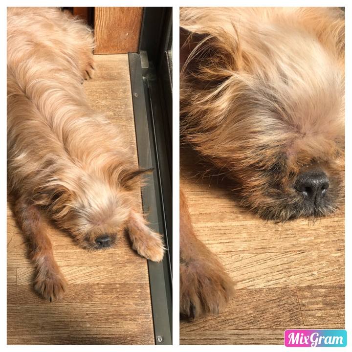 1eedcdc6 f4df 4586 b424 c75e30050e68 1554253838591