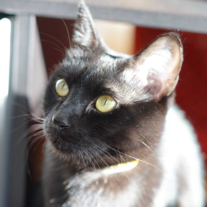 1eeddfa3 abcb 43e8 b81c 8ca1639581a3 1547906943872