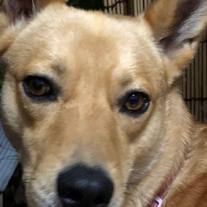 1eede748 ef81 45c8 94e6 05555d7f6a50 1529933096383