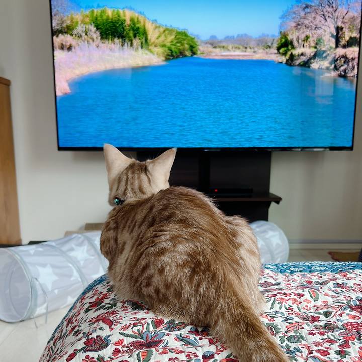 1eee14fb f6b5 4278 8066 5afb060ce3f0 1650149258957