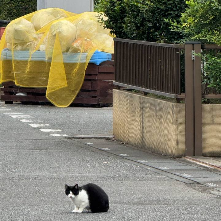 1eee2eb0 8d8a 4892 bcf5 51da4074bded 1761013659940