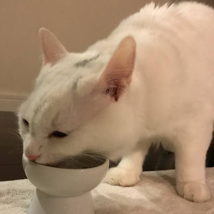 1eee34a6 42d4 4fdf 9556 bffba412d345 1515325693275