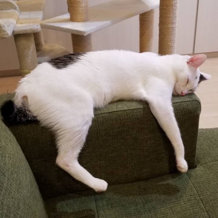 1eee3bc5 dce5 4a60 89dd e7ad7911cd38 1551619398693