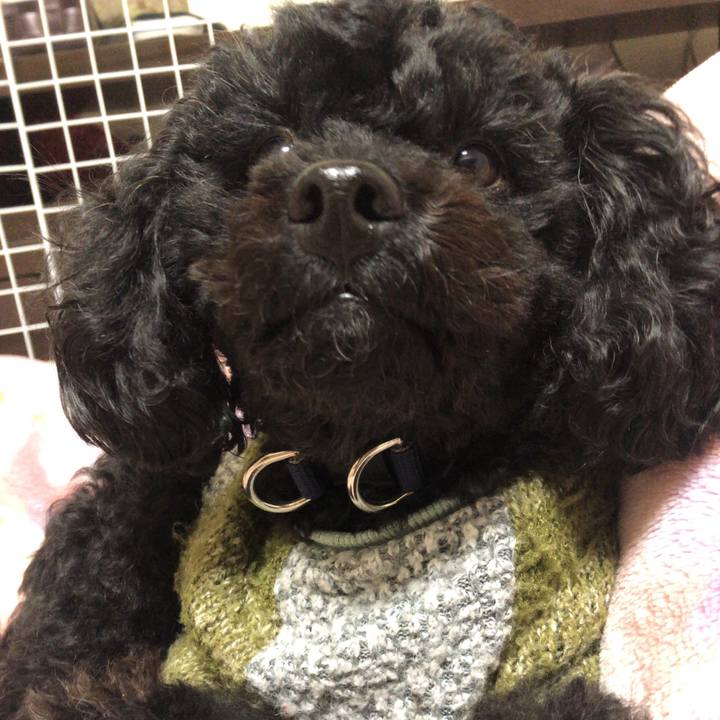 1eee500a 74de 4416 9f84 7eb6d700e592 1548745615773