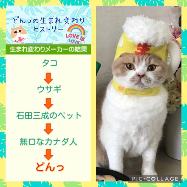 1eee5ea1 33d5 4e80 9f5e 8f5e09c867ca 1656895509890