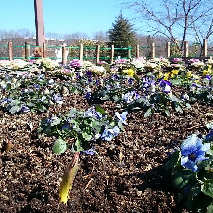 1eee66c9 54d2 4886 917c 6d3326c255a2 1519609809976