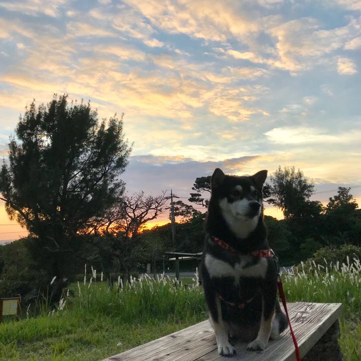 1eee71b2 3094 43bb 97c6 9dee7ce05cfb 1514969829515