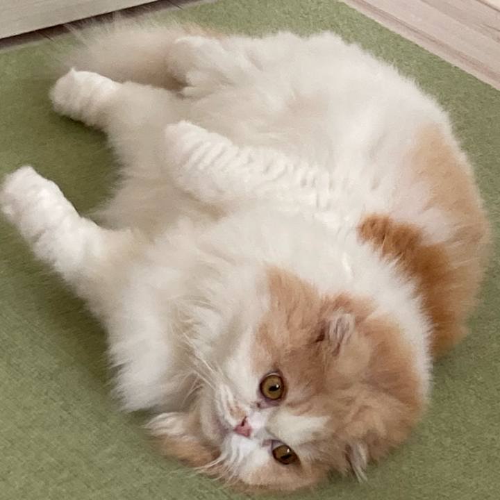 1eeec765 4c64 46b2 be58 eb569b11eaa3 1656765065742