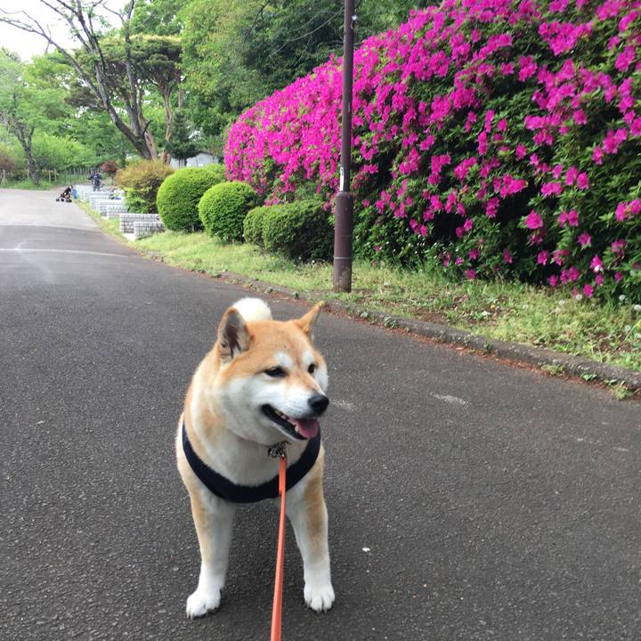 1eeed386 b890 4821 a425 3186f1c0f0e0 1556519525673