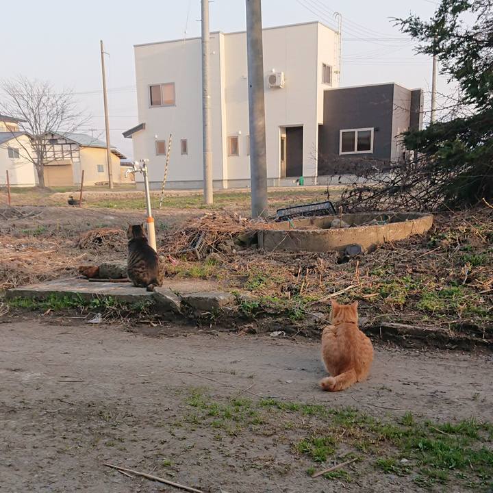 1eeed608 3d06 42ae 8055 8b2a68fa61bf 1649580291565