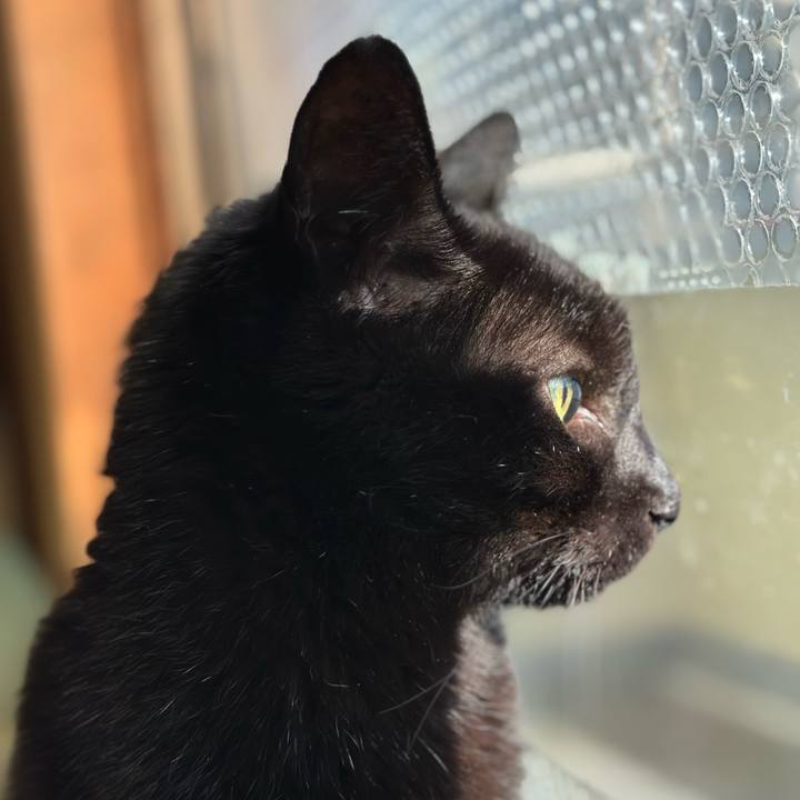 1eef22c9 bcc0 45f5 83dc be2dd9f0fdb1 1699926031361