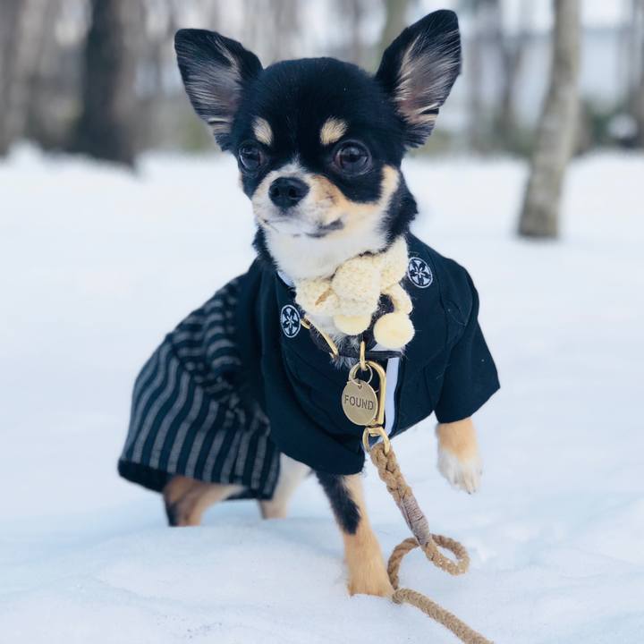 1eef2956 2074 4041 9d02 a62e8c9e051e 1546603530360