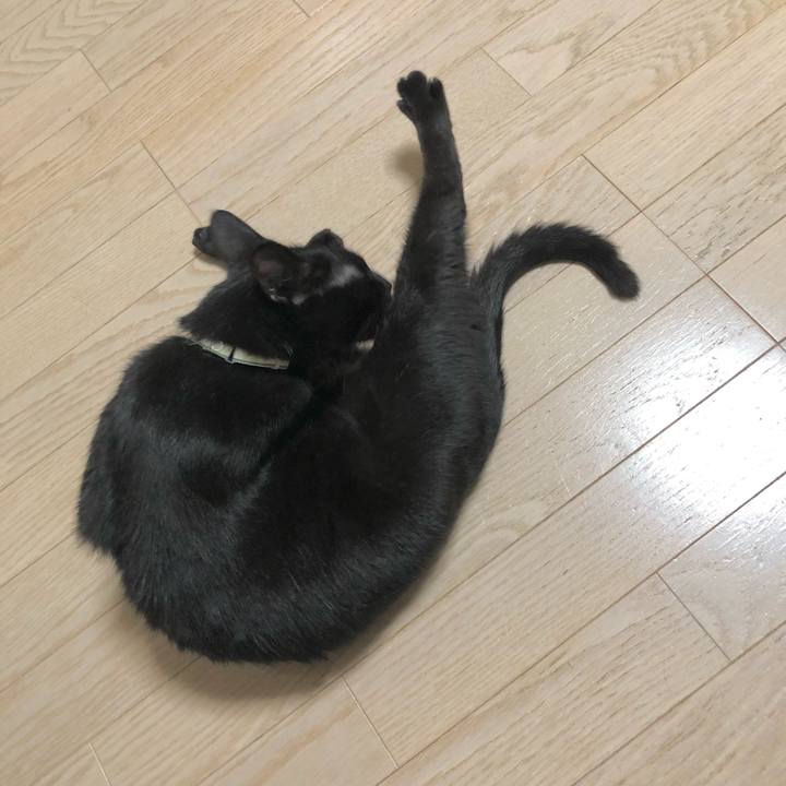 1eef394c bcf4 4d0e a0c5 6400bd0414de 1622810099131