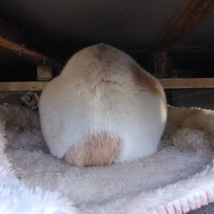 1eef3f65 4023 47da 8777 6f59870ac2be 1667473520397