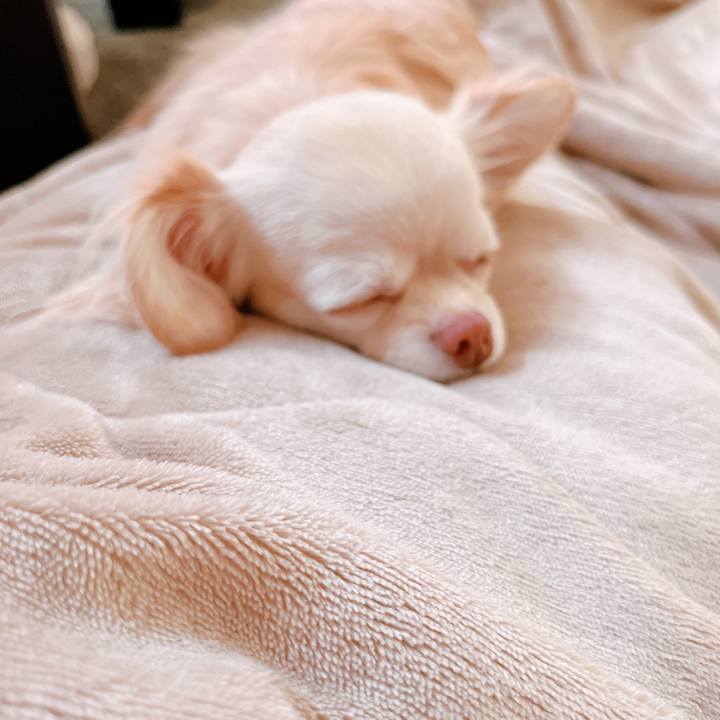 1eef5ded 8fa8 435f b14e ec96bd0d621f 1654290972406