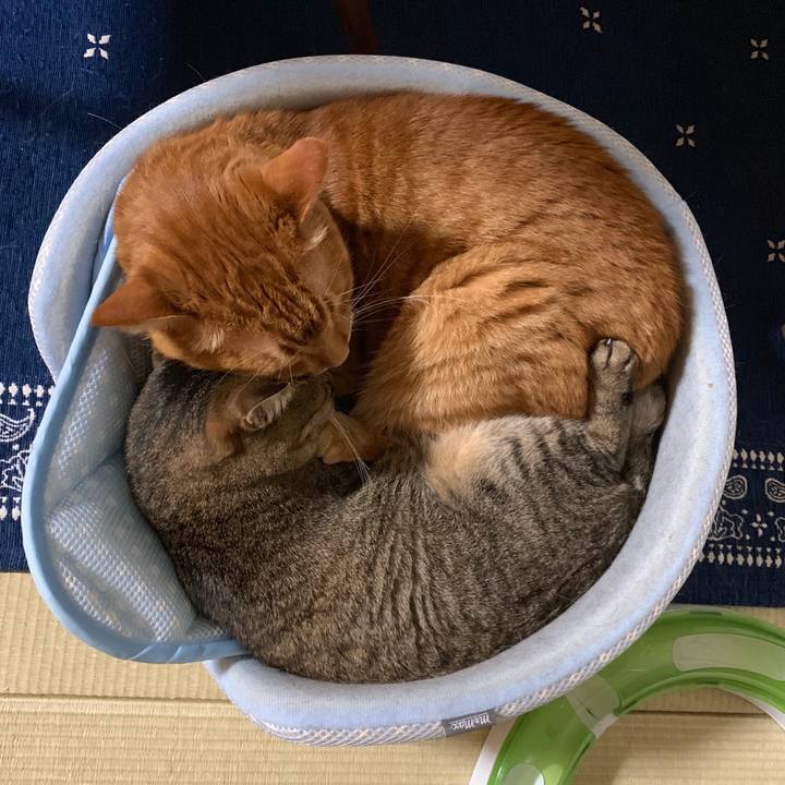 1eef64fc 26e3 4b99 bfa1 d2562283433d 1562577764089