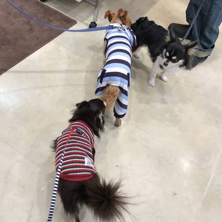 1eef65b1 0bf7 423a 80e9 c1f7cd528b91 1523163432729