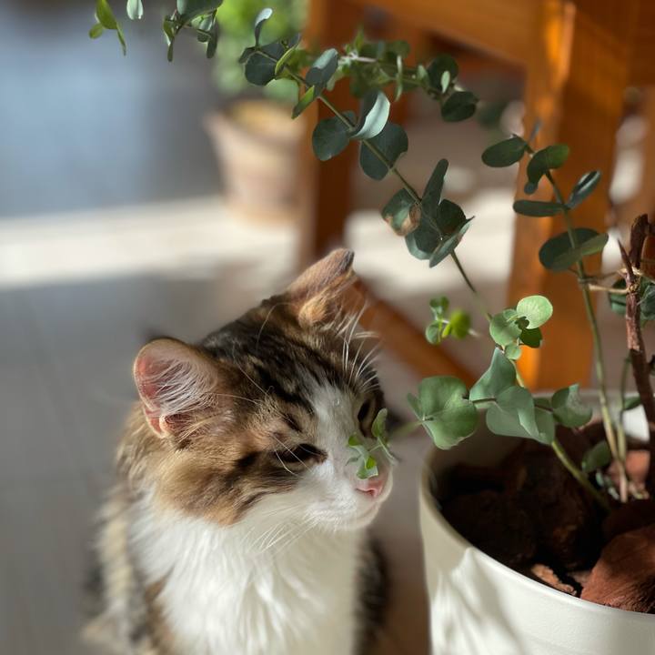 1eef8fd0 f89f 4cfe 8b11 bf52efd0fd82 1634438203179