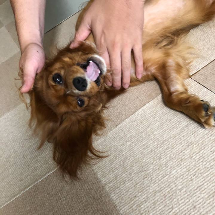 1eefaeba 2ba7 4896 a4f5 3fbbbebc2a80 1534631396989