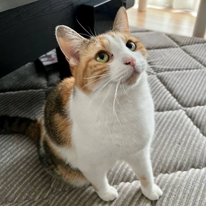 1eefaf24 aea3 4d3c 91a6 d2a077efbb25 1760434119448