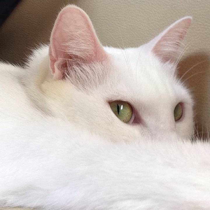 1eefbe27 1a97 466d 88b8 84186721c39d 1634962834201