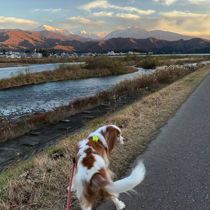 1eefe1ce 28f2 4c3f a7b0 58bfb36974d2 1607499030692