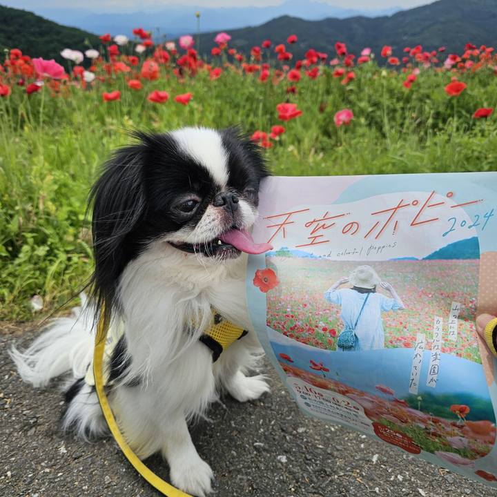 1eeffd3d 3d45 4b96 a68c 31d7734a079e 1717055601580