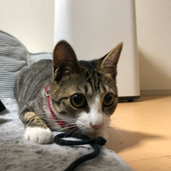 1eefff84 3143 4ba0 94b1 8c2431e75edd 1575813785890