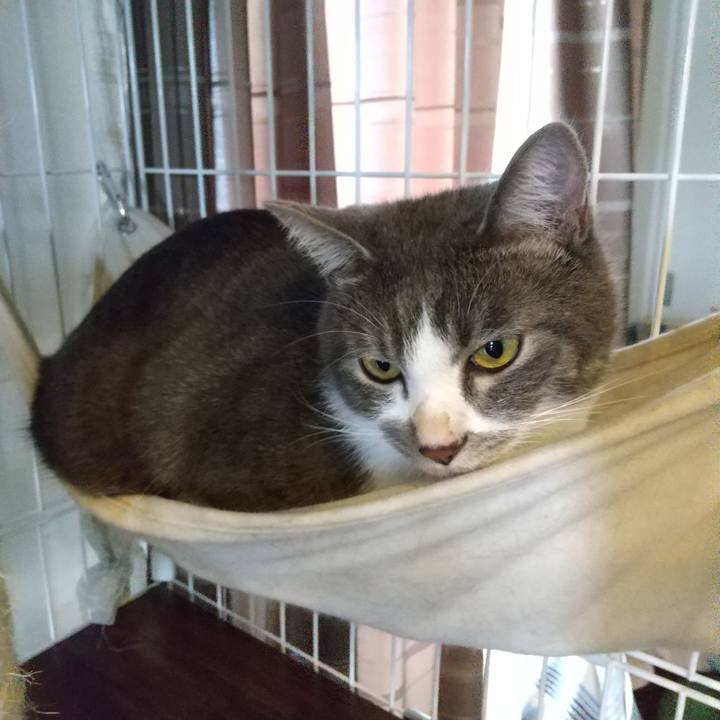 1ef0118c af82 4b75 99f3 3b33b5be60d1 1601518237096